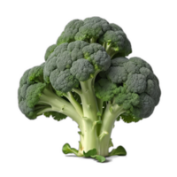 3d reso fresco broccoli png