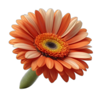 3d rendered Gerbera daisy flower png