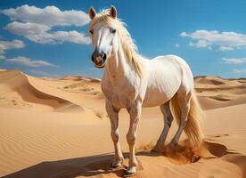 AI generated White horse in the desert. photo