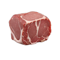 3d rendered Meat in its raw state png