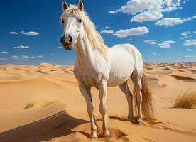 AI generated White horse in the desert. photo