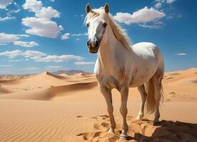 AI generated White horse in the desert. photo