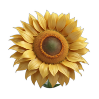 3d rendered Sun flower png