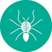 Spider Glyph Circle Icon vector