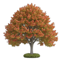 3d gerendert Tulpe Baum png