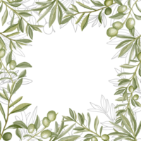 main tiré aquarelle Cadre avec olive branches et feuilles. parfait pour création cartes, imprimer, mariage invitation. png