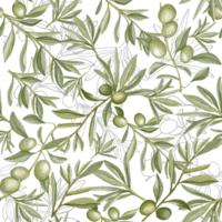 Watercolor seamless pattern with green olive branches in vintage style. Botanical illustration olive tree png