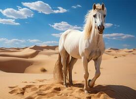 AI generated White horse in the desert. photo