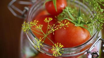 natural tomates com especiarias preparado para conservação video