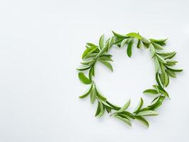 frame workspace with green leaves on white background. lay flat, top view photo