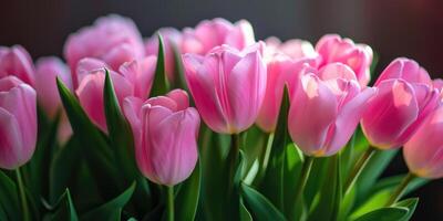 AI Generated Beautiful bouquet of pink tulips on blurred background. Ai generation. photo