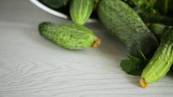 vers biologisch komkommers met kruiden Aan een houten tafel video