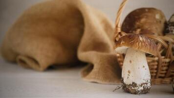 een bundel van vers geoogst Woud champignons in een mand Aan een houten tafel video