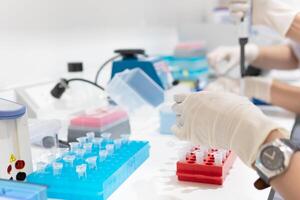 Asian scientist working in the lab,Doing experiment for product,The researchers analyzed to find the results of the experiment. photo