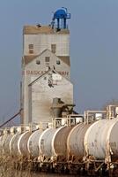 Grain Elevator and Train Saskatchewan photo