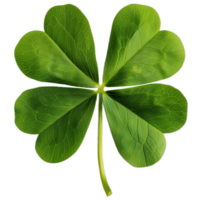 AI generated Patricks day symbol green shamrock png