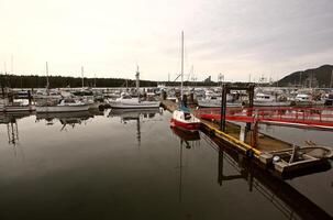 Docked yacht and fishing boats at Port Edward, British Columbia photo