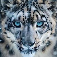 ai generado un cerca arriba de un nieve leopardo con azul ojos foto