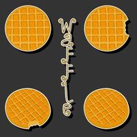 Illustration on theme big kit different types biscuit waffle with cell, dessert cookie vector