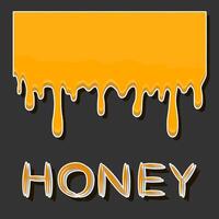 Drop of bee honey drip from hexagonal honeycombs filled with golden nectar vector