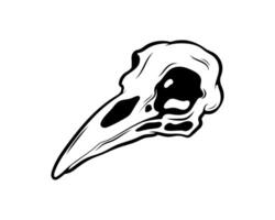 Mystical vector illustration. Crow skull on a white background. Hand drawn bird skull, line sketch. Gothic style. Freehand drawing in Boho style. Witchcraft, magical voodoo attribute for Halloween.