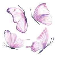 pink butterfly Watercolor colorful butterflies, isolated on white background. pink and lilac butterfly spring illustration Butterfly. Element for design, cards, spring web vector