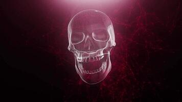 Abstract skull animation with red plexus background video