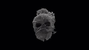 Smoke skull with dark eyes with alpha channel video