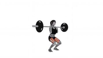 Barbell Clean-grip Front Squat female character with muscles highlight video