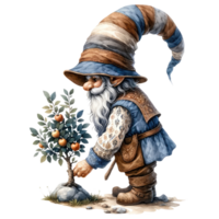 ai généré gnome récolte des oranges dans verger illustration png