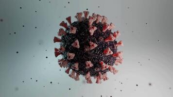 Human Immune System attack the virus video