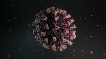 Human Immune System attack the virus video