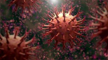 Human Immune System attack the virus video