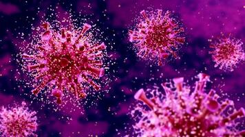 Human Immune System attack the virus video