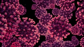 Human Immune System attack the virus video