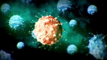 Human Immune System attack the virus video