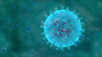 Human Immune System attack the virus video