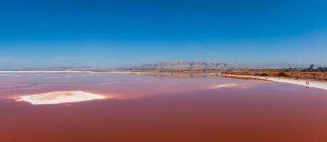 Pink salt ponds at Alviso Marina County Park photo
