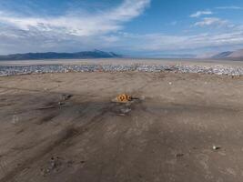 Aerial view of the Burning Man festival in Nevada desert. Black Rock city from above. photo