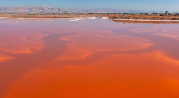 Pink salt ponds at Alviso Marina County Park photo