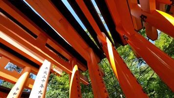 kyoto, Giappone su ottobre 1, 2023. punto di Visualizza di persone a piedi guardare su e svolta tra centinaia di apparentemente infinito percorsi di vivace arancia torii cancelli quello linea il approccio per mt. inari. video