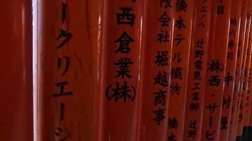 Kyoto, Japan on October 1, 2023. Point of view of people walking looking up and turning among hundreds of seemingly endless paths of vibrant orange torii gates that line the approach to Mt.  Inari. video