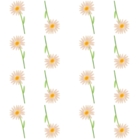 A seamless pattern of daisy PNG transparent background in a hand-drawn gradient color spring floral concept, illustration