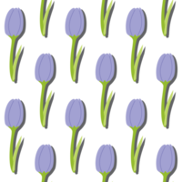 A seamless pattern of tulip PNG transparent background in a spring minimal floral concept, illustration