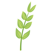 een boom takken en bladeren PNG transparant achtergrond in een hand getekend helling kleur voorjaar bloemen concept, illustratie