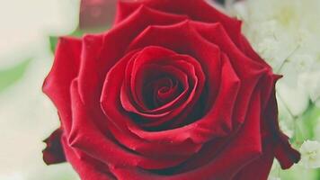 lent mouvement métrage de le valentines bouquet avec beau, coloré fleurs et Publier carte. fête video
