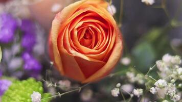 lento movimiento imágenes de el san valentin ramo de flores con hermoso, vistoso flores y enviar tarjeta. celebracion video