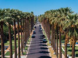 An aerial shot of Californian palms with an empty road. photo