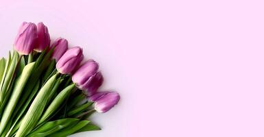 rosado tulipanes flores ramo de flores en rosado antecedentes. esperando para primavera. contento Pascua de Resurrección, de la madre día. marco bandera modelo con Copiar espacio. foto