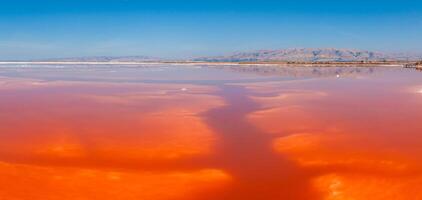 Pink salt ponds at Alviso Marina County Park photo